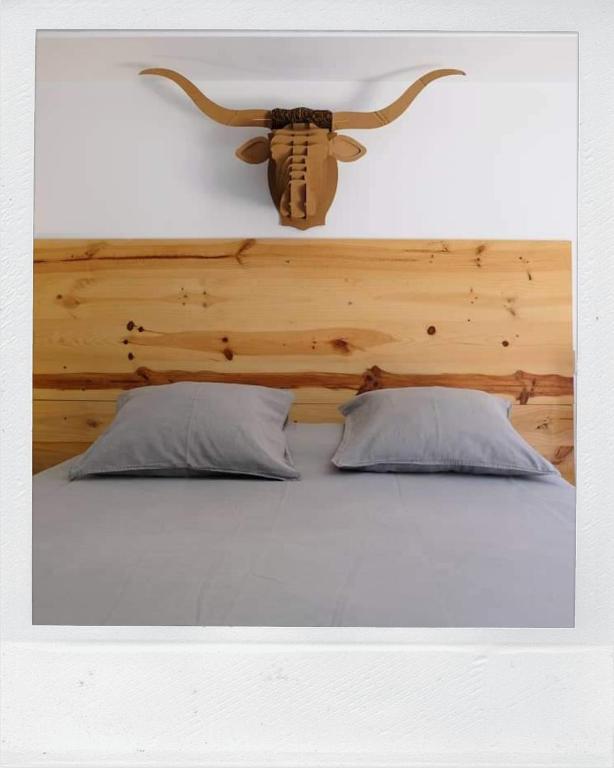 Casa Carmina Hostel - 19