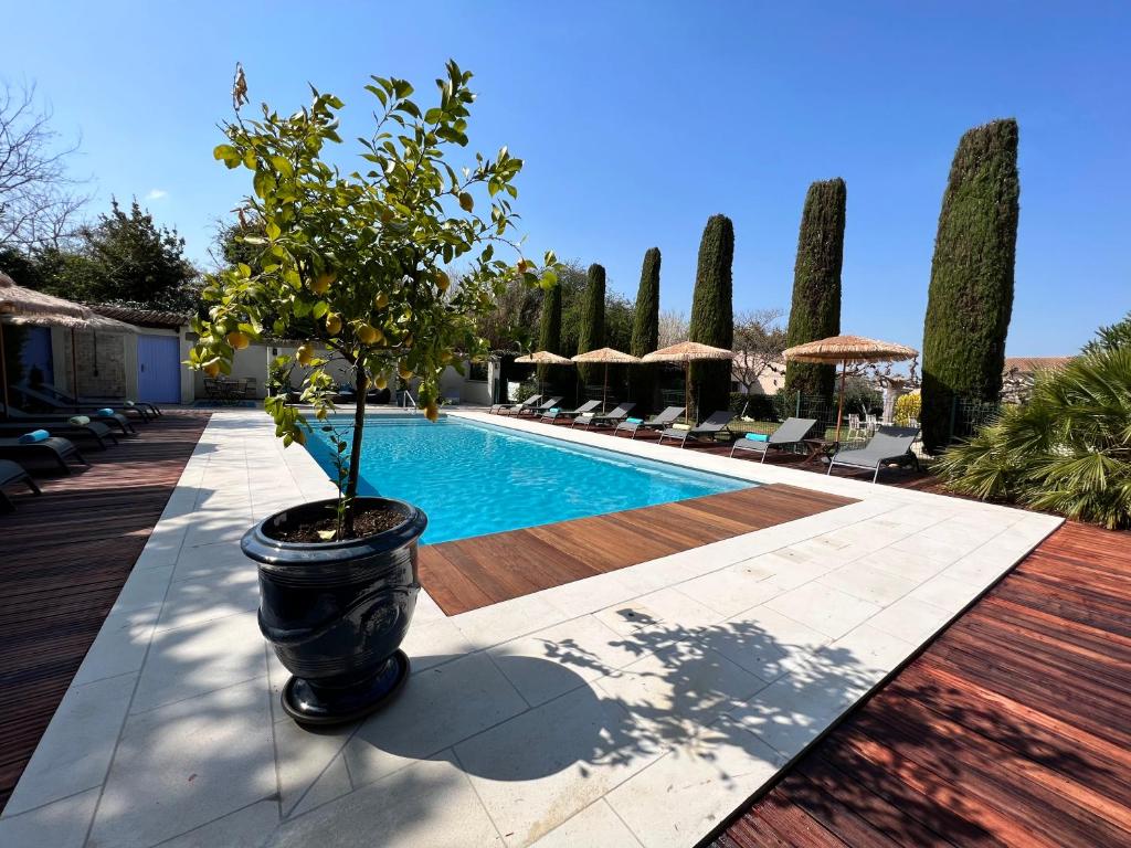 a potted tree in a pot next to a swimming pool at Résidence Les Sources in Saint-Rémy-de-Provence