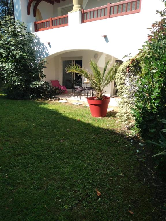 a house with a potted plant in the yard at Joli T2 proche plages in Bidart