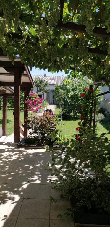 a garden with a pavilion and flowers in a yard at Ferienwohnung Maks und Kris in Sankt Andrä bei Frauenkirchen