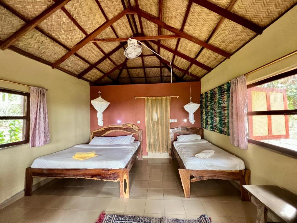 Nemasu Eco-lodge 2
