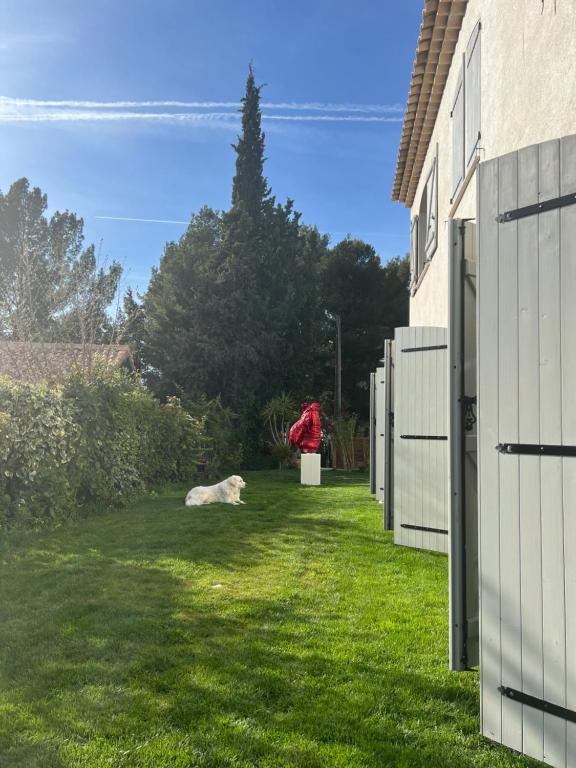 La Chambre Cézanne - 15