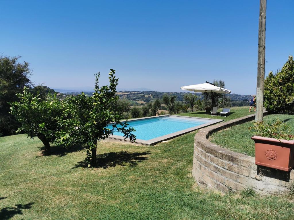 a swimming pool in a yard with an apple tree at Casale Druida in Poggio Mirteto