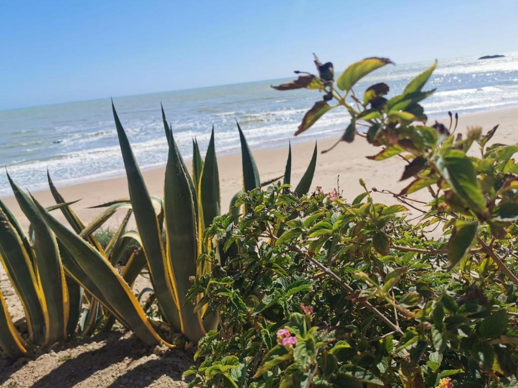 Giardino sul Mare - Apartment Mit Zwei Schlafzimmern