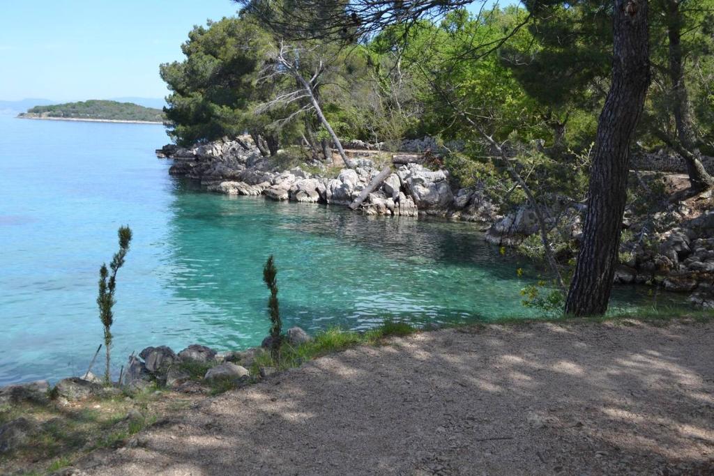 Príroda v okolí apartmánu