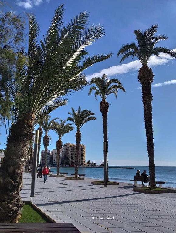 Bungalow Carpe Diem wifi, Torrevieja – Precios actualizados 2023