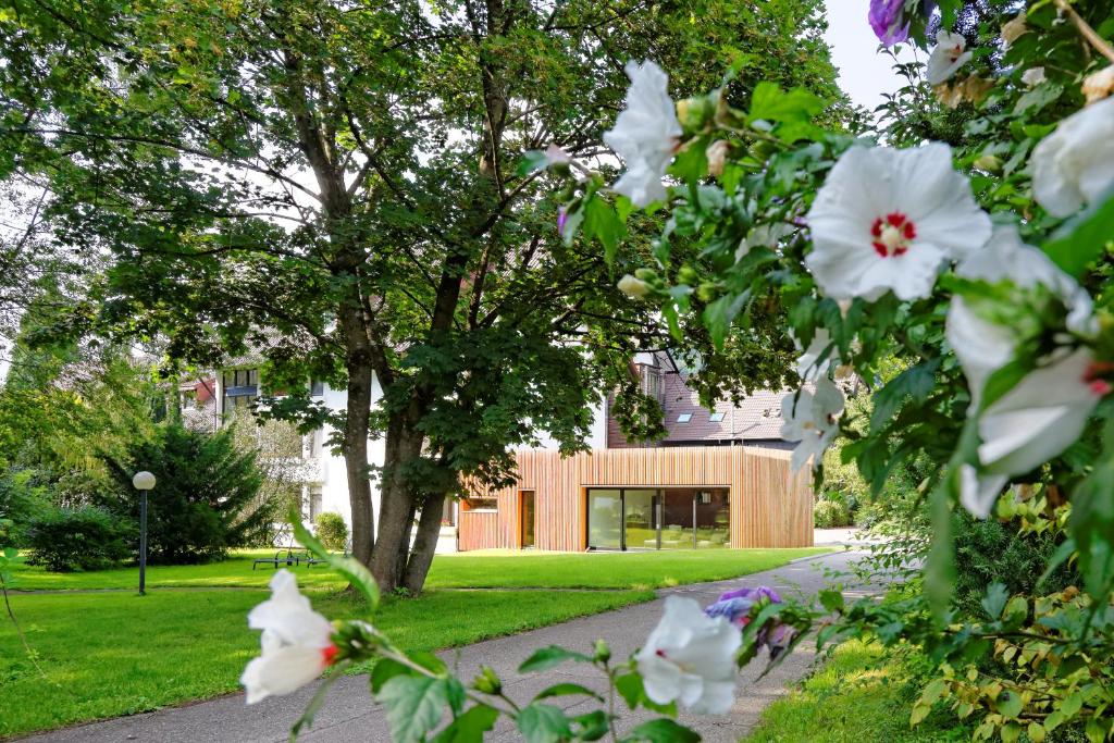 Zahrada ubytování Hotel Hirschen