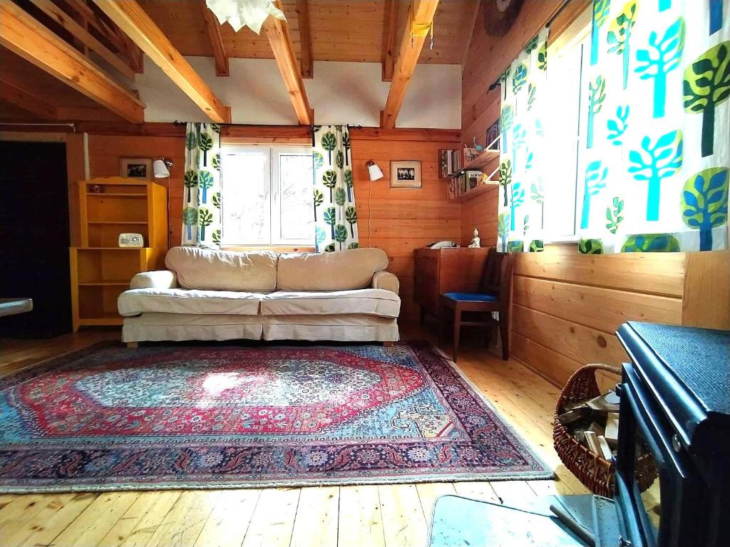 Ulęgałki Roztocze في AdamÃ³w: غرفة معيشة مع أريكة وسجادة