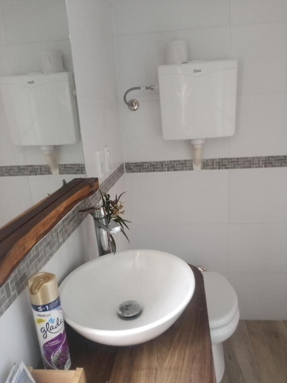Koupelna v ubytování Posada La Serena
