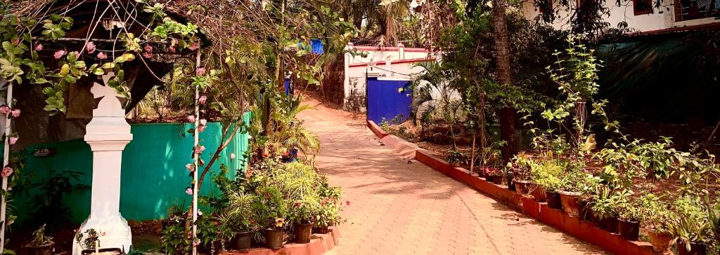 Zahrada ubytování Stan-Inn, North Goa, Vagator, with strong WIFI,free private parking & kitchen, Can Cook where you stay