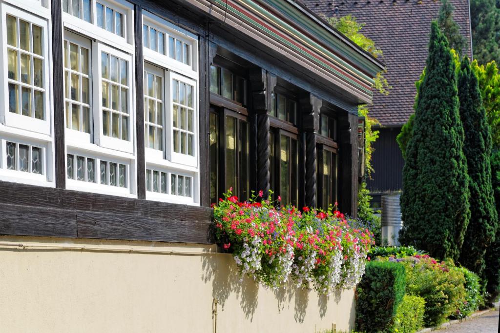 Zahrada ubytování Hotel Hirschen