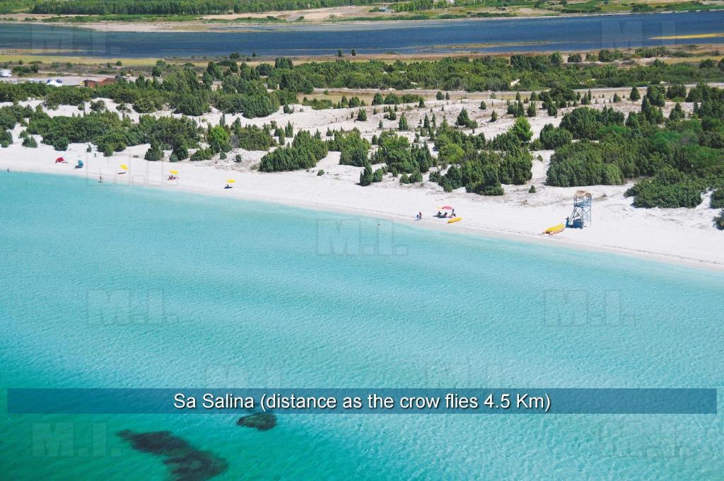 Il Fenicottero a Porto Pino - Appartamenti Vicino Spiagge