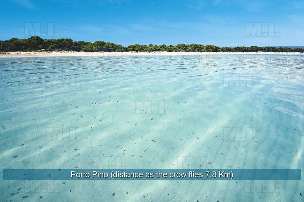 Il Fenicottero a Porto Pino - Appartamenti Vicino Spiagge