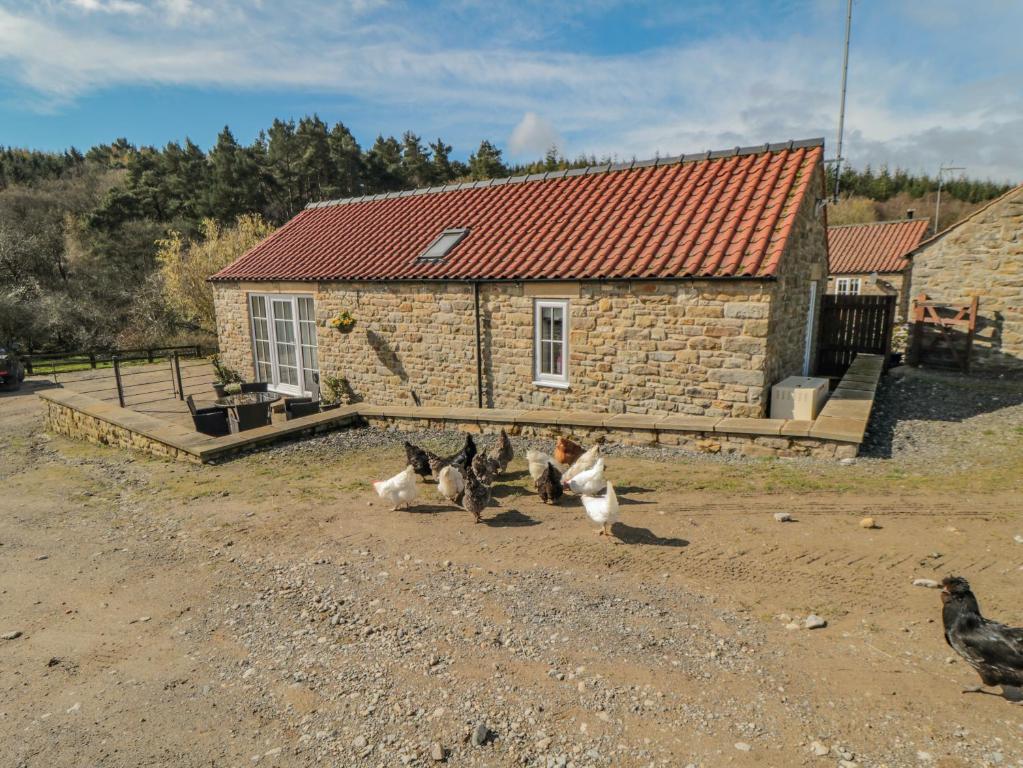 eine Gruppe von drei Hunden, die vor einem Gebäude sitzen in der Unterkunft Erica's 'eaven in Gillamoor