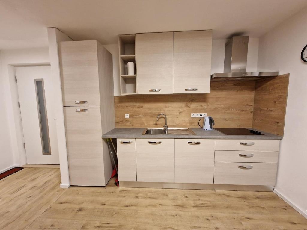 Kuchyň nebo kuchyňský kout v ubytování Ferienwohnung Schnalstal " Die Schneiderei "