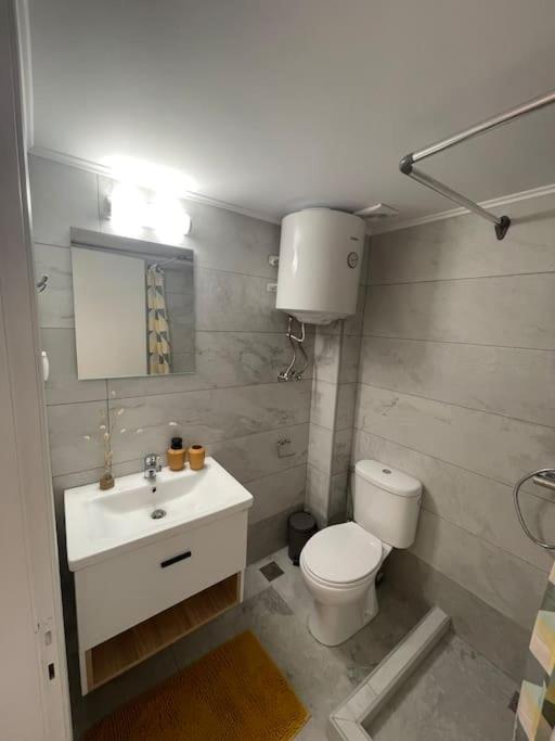 a bathroom with a toilet and a sink at Vatos Studio in Vátos