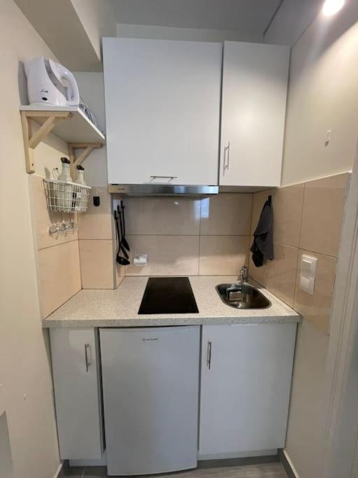 a small kitchen with white cabinets and a sink at Vatos Studio in Vátos