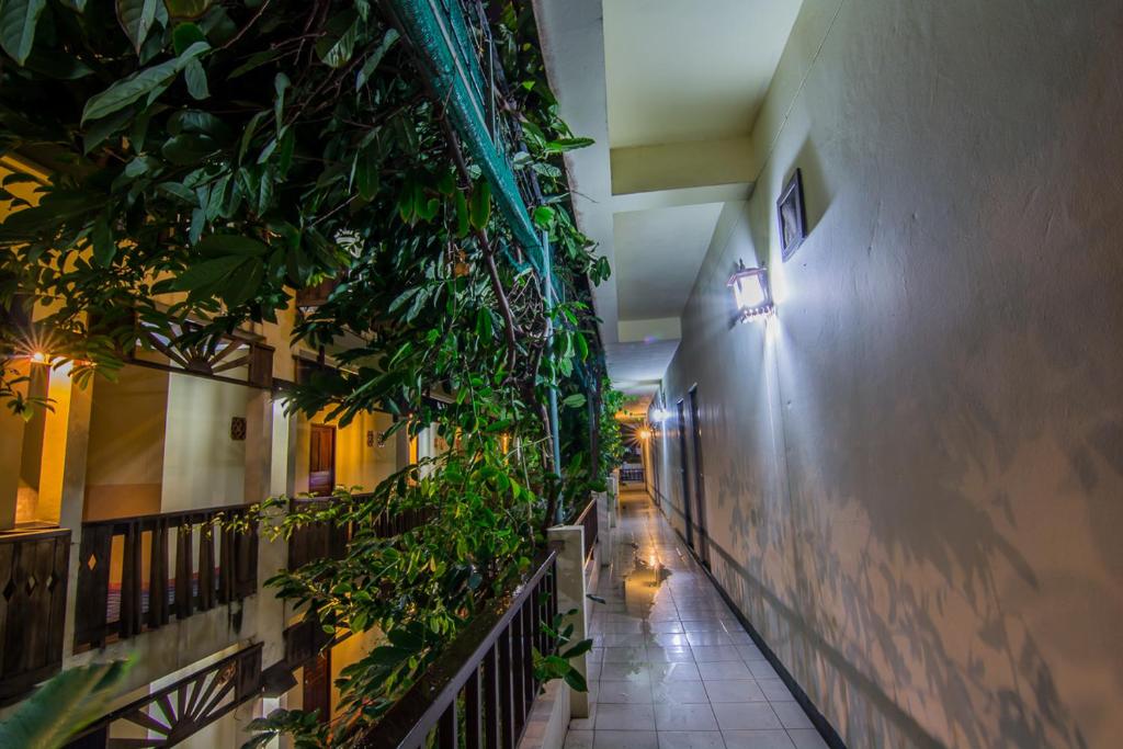 Sutus Court 5 - Resim 15