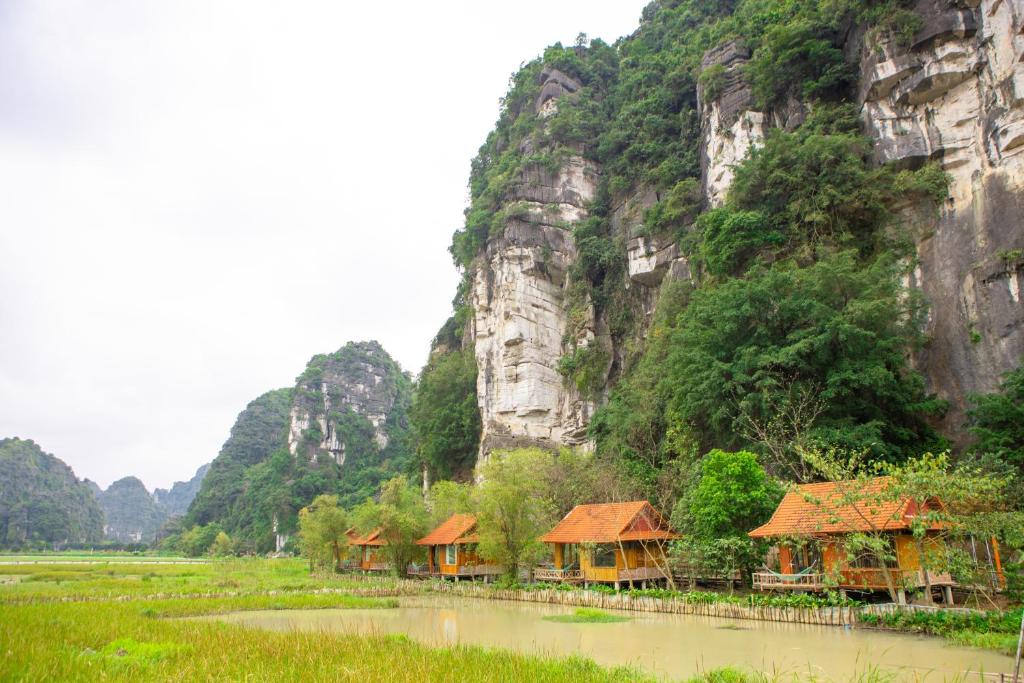 Lotus Field Homestay - 7