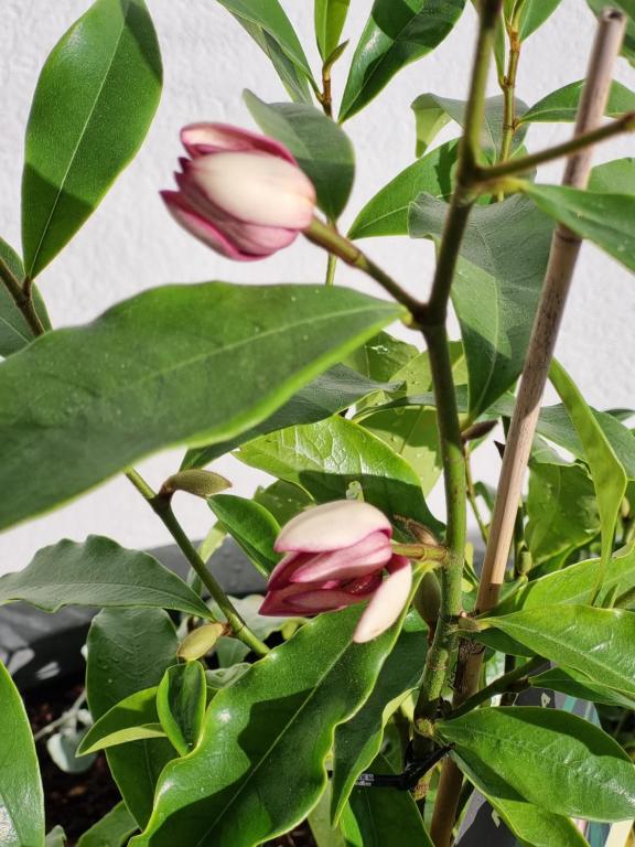 Kaikoura Quality Suites - Resim 22