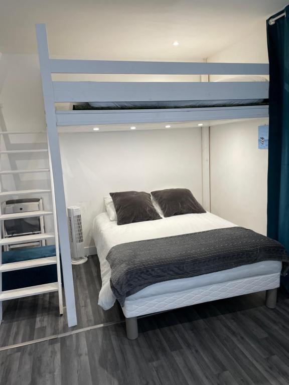 a bedroom with a bunk bed with a ladder at AZUR in Saint-Nazaire