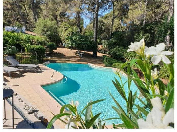 a swimming pool in a yard with white flowers at UN OASIS EN PROVENCE in Aubagne