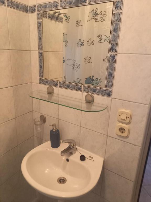 Koupelna v ubytování Apartmani Branka