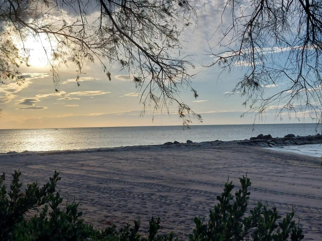 Apartamento Junto Al Mar - Apartamento De Una Habitación