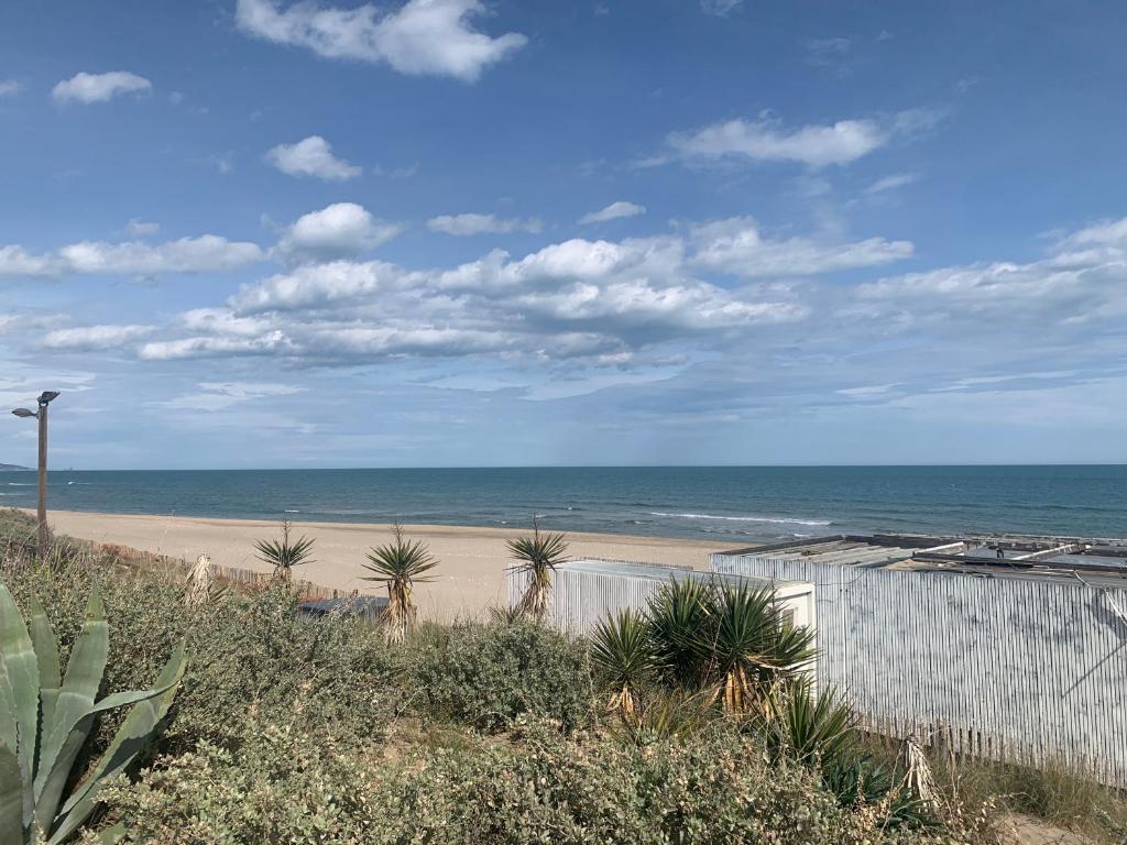 une plage avec une clôture, des palmiers et l'océan dans l'établissement Nid douillet dans les coursives du village naturiste du cap d agde, au Cap d'Agde