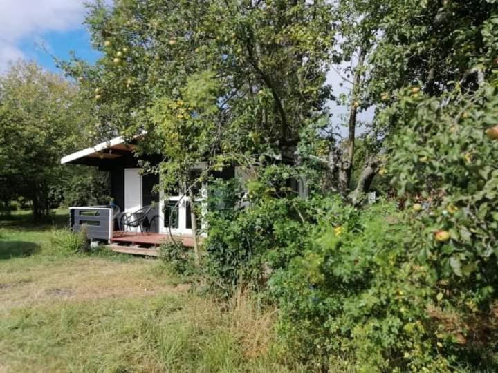Zahrada ubytování Kiszkowianka domki