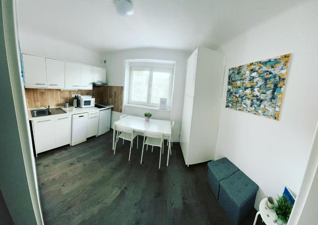 Kuchyňa alebo kuchynka v ubytovaní Apartmán Galerie - Lipno nad Vltavou