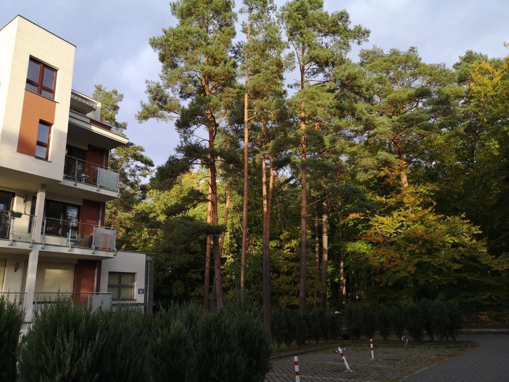 um grupo de árvores em frente a um edifício em Nadmorski apartament w lesie em Jantar