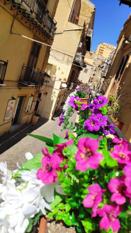 a bunch of pink and white flowers on a street at Hello World in Agrigento