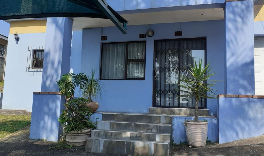 a blue house with potted plants on the stairs at Liz' Cottage in Mbabane