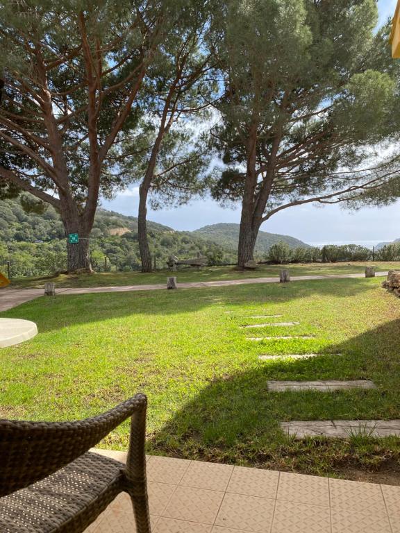 een bankje in een park met bomen en gras bij Auberge Coralli in Sartène