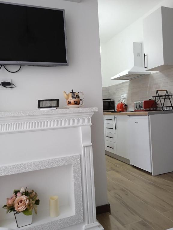 Kuchyň nebo kuchyňský kout v ubytování FAMILY LUX app