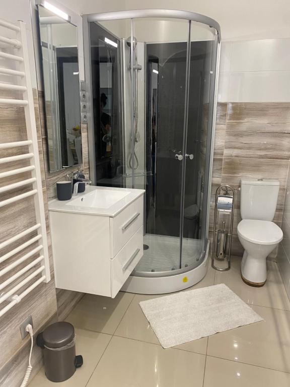een badkamer met een douche, een wastafel en een toilet bij LUXURY apartment in the centre with a place for barbecue party in Boedapest