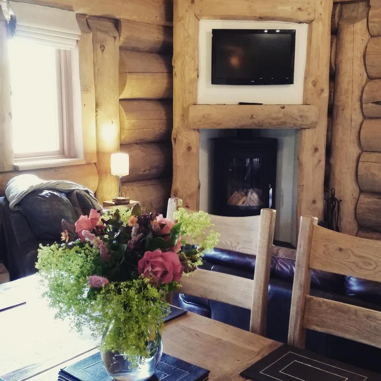 TV a/nebo společenská místnost v ubytování Newland Valley Log Cabins