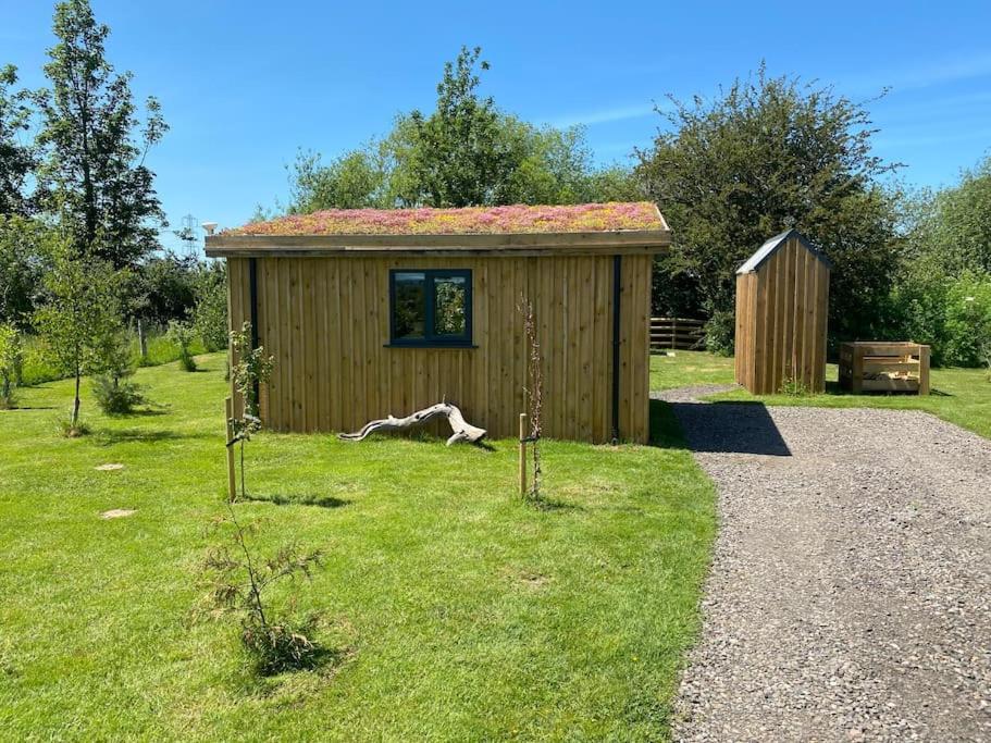 a small shed with a horse laying in the grass at Lakeside Lodge in Taunton