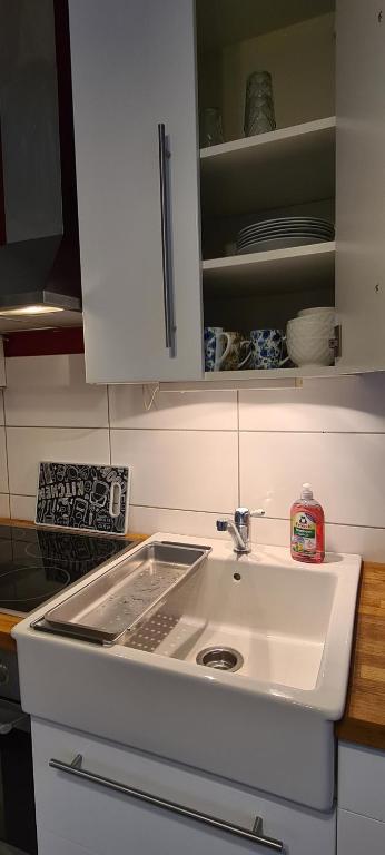 uma cozinha com um lavatório e uma bancada em 3Zimmer-Wohnküche-Altbau-90m2-eigener Parkplatz em Oberhausen