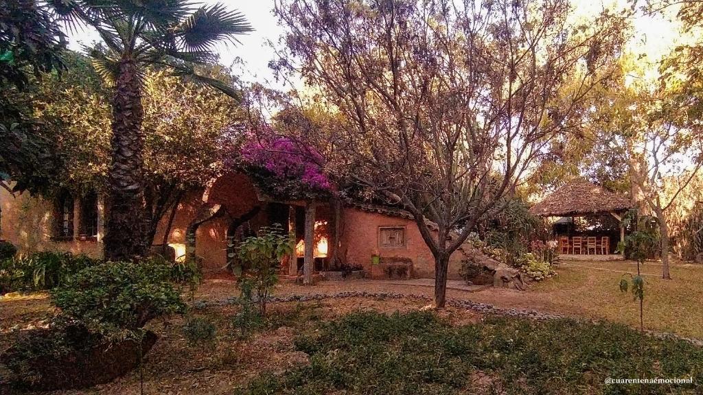 una casa con una palmera delante de ella en "Dulces Sueños", en Cochabamba