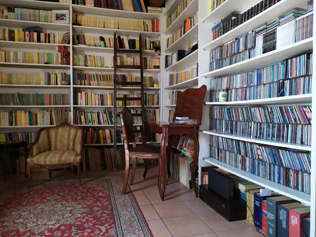 Biblioteka w apartamencie