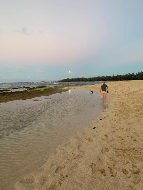 un hombre caminando por la playa con un perro en Cozy & Peaceful North Shore Oasis at Turtle Bay, en Kahuku