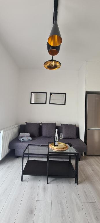 sala de estar con sofá y mesa en 61 - Apartamenty Siedlce - Nowy apartament w centrum przy ul 3 Maja 51a, en Siedlce