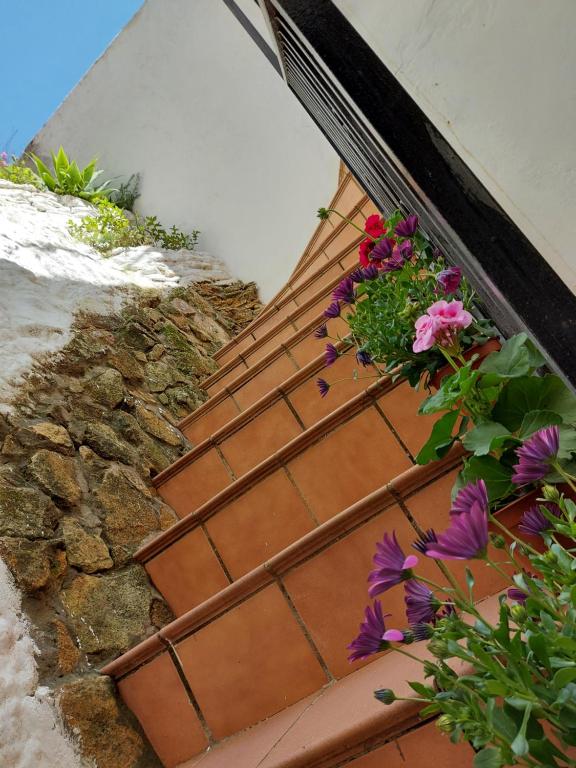 Fotografia z galérie ubytovania CASA LA ABUELA REMEDIOS v destinácii Olvera