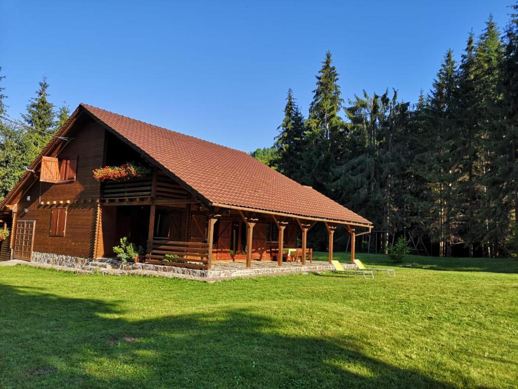 a large wooden cabin in a field of grass at Casa de Vacanta Dintre Brazi in Topliţa