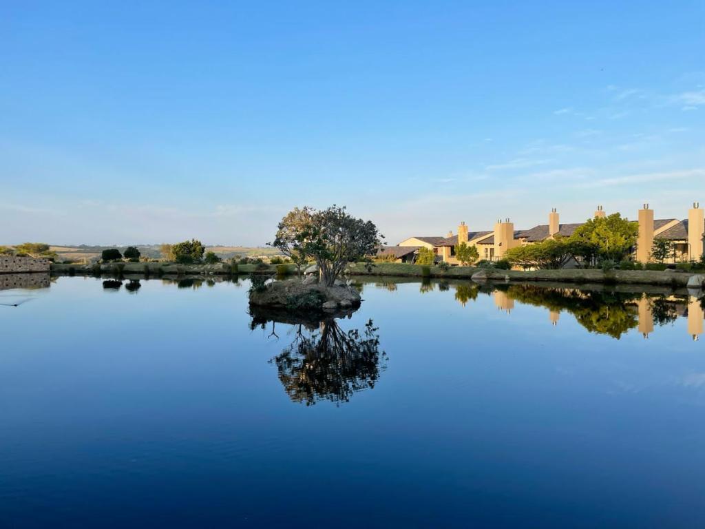 a tree sitting in the middle of a lake at Oubaai Golf Estate in George