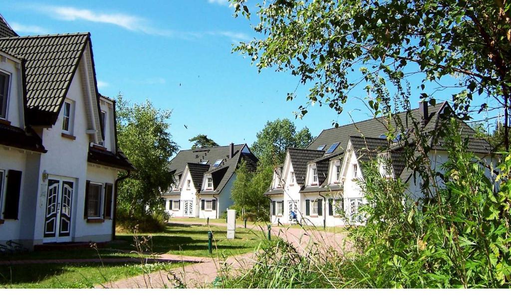 een rij witte huizen met zwarte daken bij Ferienwohnungen Fischland in Dierhagen