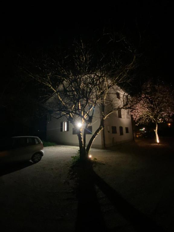 a tree in front of a house at night at Casa Bellodi in Novi di Modena