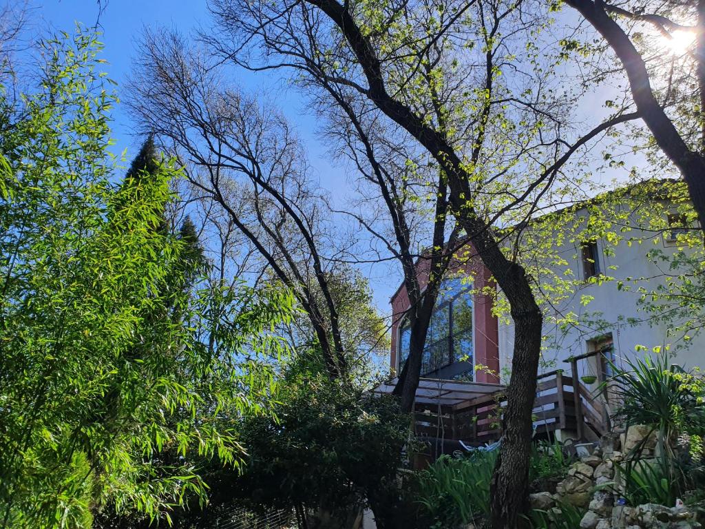 Zahrada ubytování Chambres d'hôtes Le Bois Des Frênes